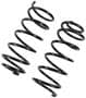 Precision Coil Spring Set