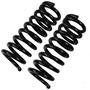 Precision Coil Spring Set