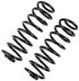 Precision Coil Spring Set