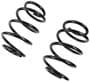 Precision Coil Spring Set