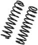 Precision Coil Spring Set