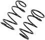 Precision Coil Spring Set