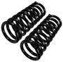Precision Coil Spring Set