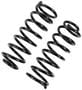 Precision Coil Spring Set