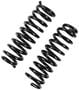 Precision Coil Spring Set