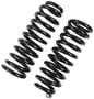 Precision Coil Spring Set