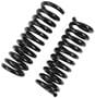 Precision Coil Spring Set