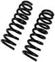 Precision Coil Spring Set