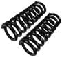 Precision Coil Spring Set