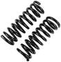 Precision Coil Spring Set