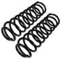 Precision Coil Spring Set