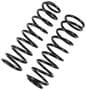 Precision Coil Spring Set