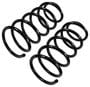 Precision Coil Spring Set