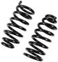Precision Coil Spring Set