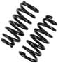 Precision Coil Spring Set