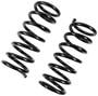 Precision Coil Spring Set