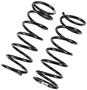 Precision Coil Spring Set