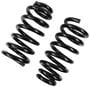 Precision Coil Spring Set