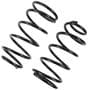 Precision Coil Spring Set