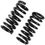 Precision Coil Spring Set