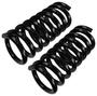 Precision Coil Spring Set