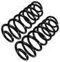 Precision Coil Spring Set