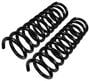 Precision Coil Spring Set