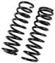Precision Coil Spring Set