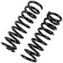 Precision Coil Spring Set