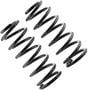 Precision Coil Spring Set