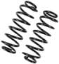 Precision Coil Spring Set