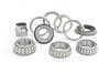 Power Torque Differential Bearing Kit