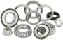 Power Torque Differential Bearing Kit