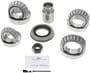 Power Torque Differential Bearing Kit