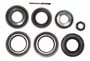 Power Torque Differential Bearing And Oil Seal Kit