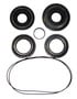 Power Torque Differential Bearing And Oil Seal Kit