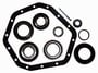 Power Torque Differential Bearing And Oil Seal Kit