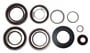 Power Torque Differential Bearing And Oil Seal Kit