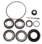 Power Torque Differential Bearing And Oil Seal Kit
