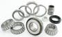 Power Torque Differential Bearing Kit
