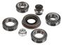 Power Torque Differential Bearing And Oil Seal Kit