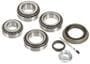 Power Torque Differential Bearing And Oil Seal Kit