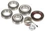 Power Torque Differential Bearing Kit