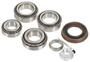 Power Torque Differential Bearing Kit