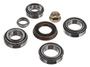 Power Torque Differential Bearing Kit