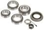Power Torque Differential Bearing Kit