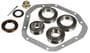 Power Torque Differential Bearing And Oil Seal Kit
