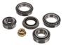 Power Torque Differential Bearing And Oil Seal Kit