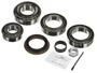 Power Torque Differential Bearing And Oil Seal Kit
