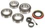 Power Torque Differential Bearing And Oil Seal Kit